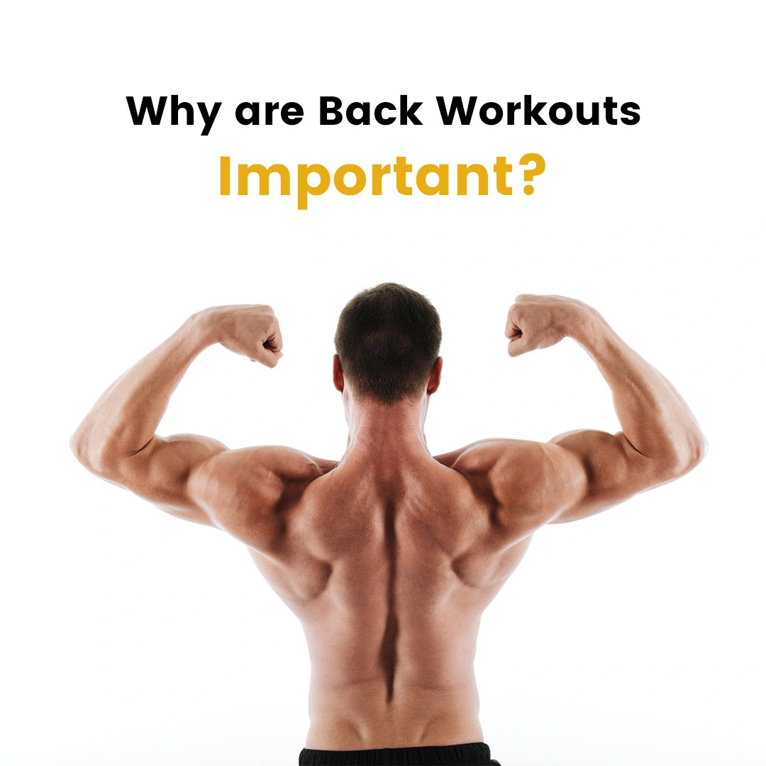 Why-are-Back-Workouts-important