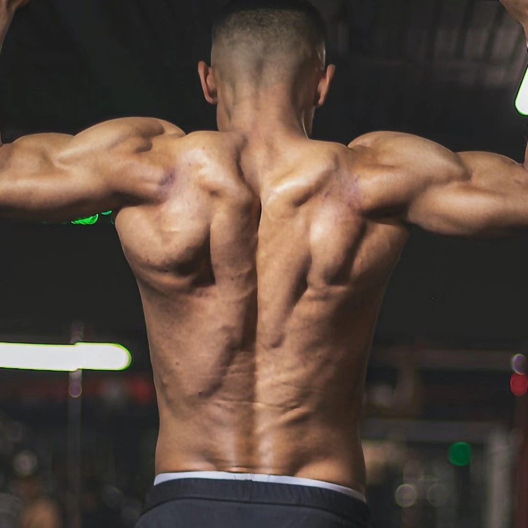 Bar Pull Ups