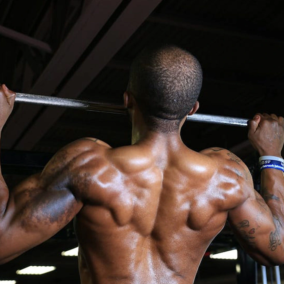 pull up bar